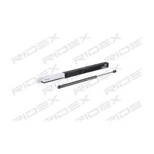219G0677 RIDEX