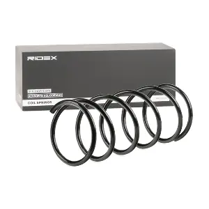 188C0101 RIDEX