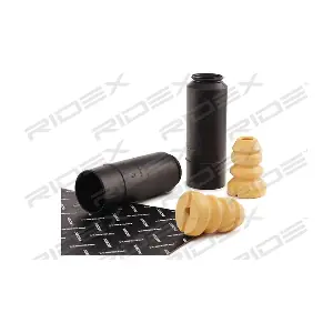 RIDEX 919D0029