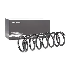 188C0022 RIDEX