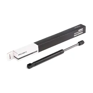 219G0286 RIDEX