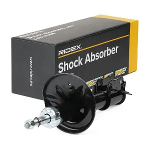 RIDEX 854S0732