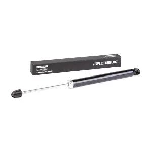 854S1325 RIDEX