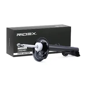 854S1096 RIDEX