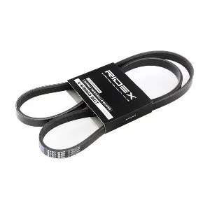 305P0022 RIDEX
