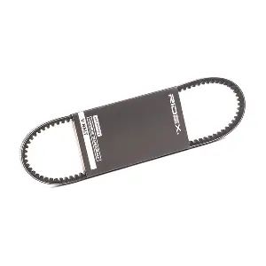 RIDEX 10C0059