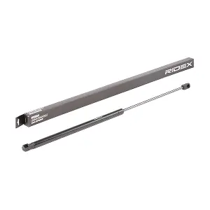 219G0746 RIDEX
