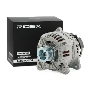 4G0098 RIDEX