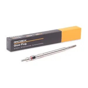 243G0143 RIDEX