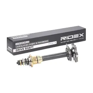 13D0036 RIDEX