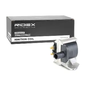 689C0242 RIDEX