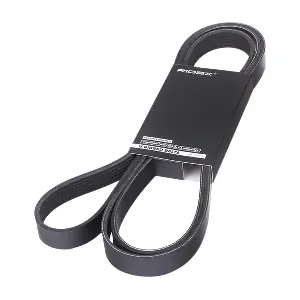 RIDEX 305P0099