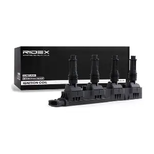689C0165 RIDEX