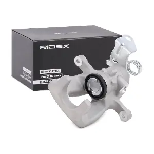 RIDEX 78B1110