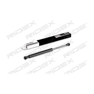 219G0255 RIDEX