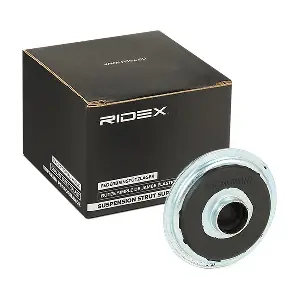 1180S0624 RIDEX