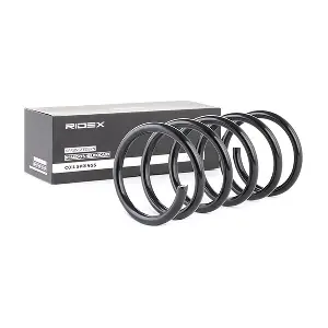 188C0176 RIDEX