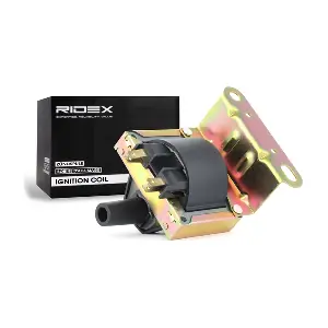 RIDEX 689C0251