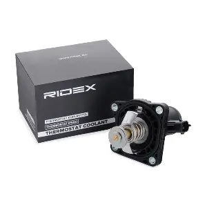 316T0315 RIDEX
