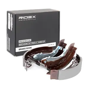 RIDEX 70B0113