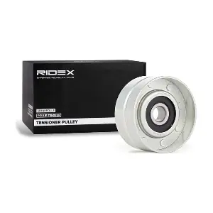 313D0088 RIDEX