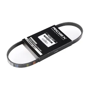 305P0166 RIDEX