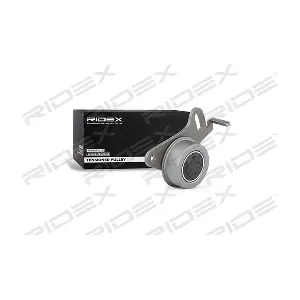 RIDEX 308T0022