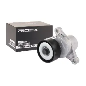 310T0084 RIDEX