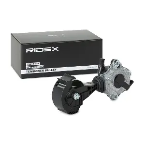 541V0045 RIDEX