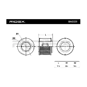 RIDEX 8A0231