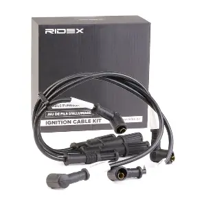RIDEX 685I0002