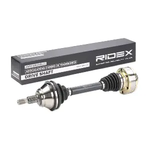RIDEX 13D0002