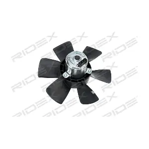 RIDEX 508R0089
