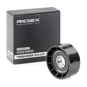 RIDEX 310T0200