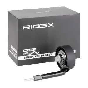 RIDEX 310T0029
