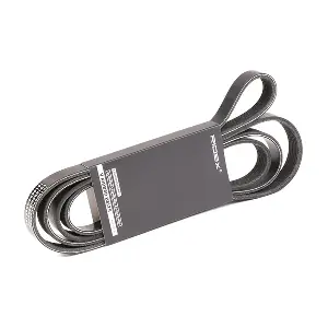 305P0101 RIDEX