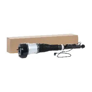 4118A0006 RIDEX