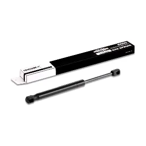 219G0156 RIDEX