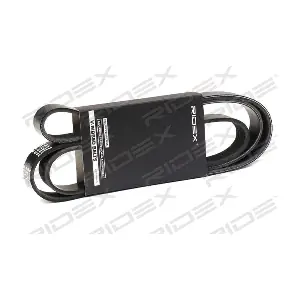 305P0323 RIDEX