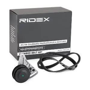 542R0026 RIDEX