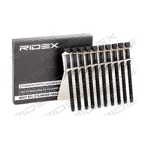 1217B0007 RIDEX