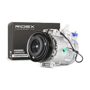 RIDEX 447K0022