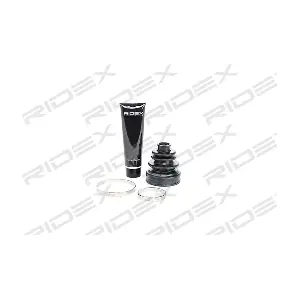 193B0020 RIDEX