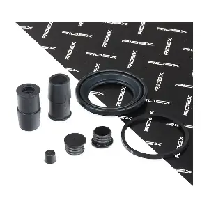 405R0020 RIDEX
