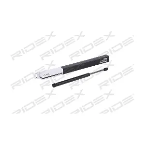 2454G0013 RIDEX