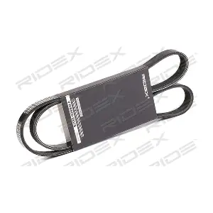 305P0423 RIDEX