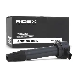 RIDEX 689C0169