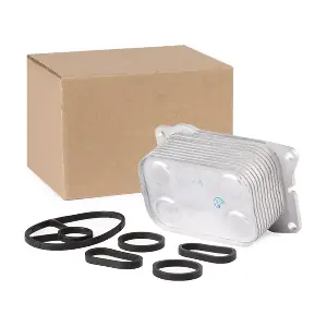 RIDEX 469O0117