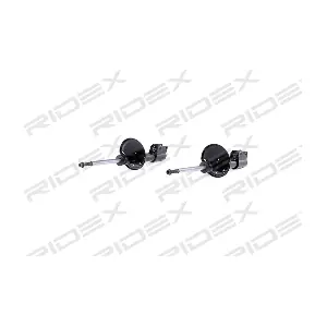 854S2231 RIDEX