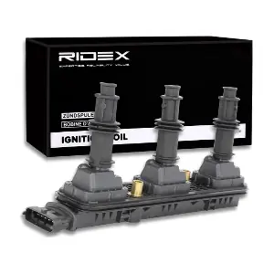 689C0274 RIDEX